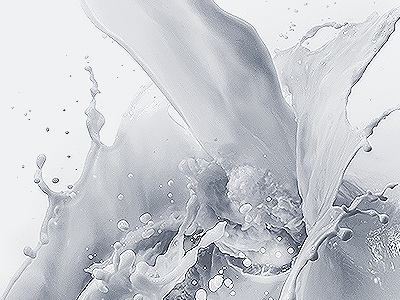 Shir Dastgah products